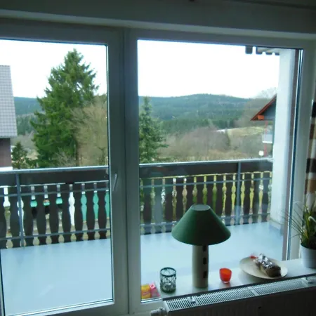 Apartment Mit Balkon In By Interhome Braunlage