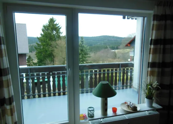 Apartment Mit Balkon In By Interhome Braunlage